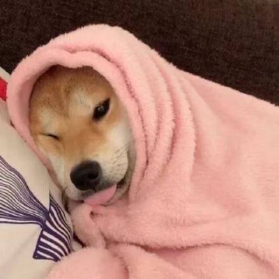 �ɰ��򵥵�è��ͷ��