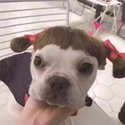 �ɰ��򵥵�è��ͷ��