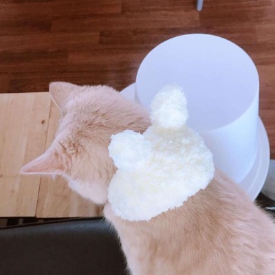 �ɰ��򵥵�è��ͷ��