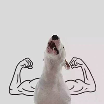 �����Ŀ�ͨͷ�񣬶���һЦ