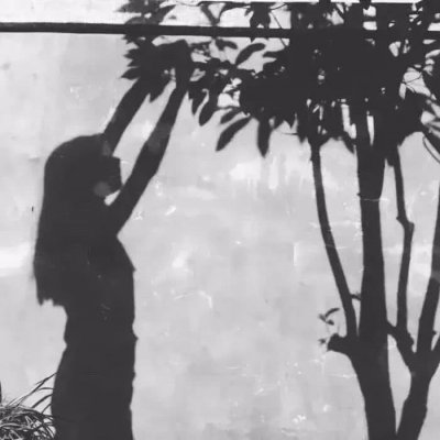 #��ͨ����ͷ��# һ������