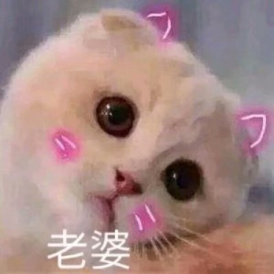 ������ϲ���ľ��¿�ͨ����ͷ��