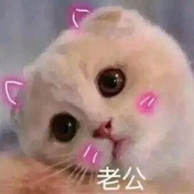 ������ϲ���ľ��¿�ͨ����ͷ��