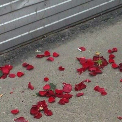 ��ɫ������õ��ͼƬ