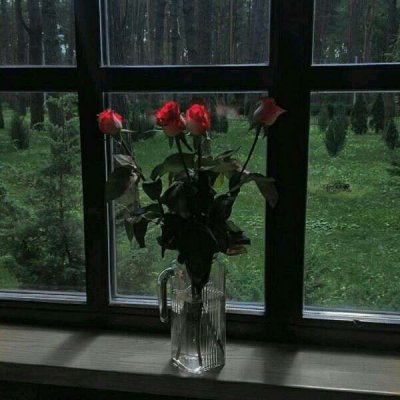 ��ɫ������õ��ͼƬ