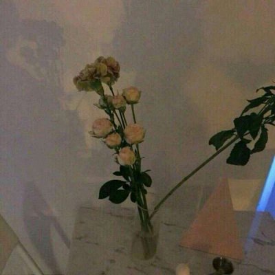 ��ɫ������õ��ͼƬ