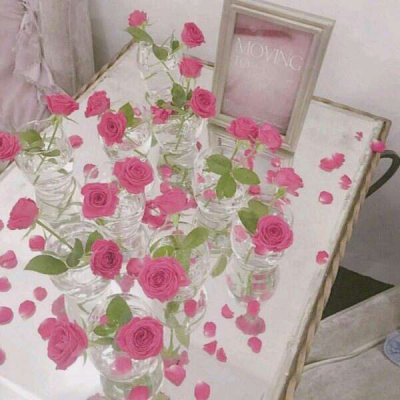 ��ɫ������õ��ͼƬ