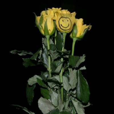 ��ɫ������õ��ͼƬ