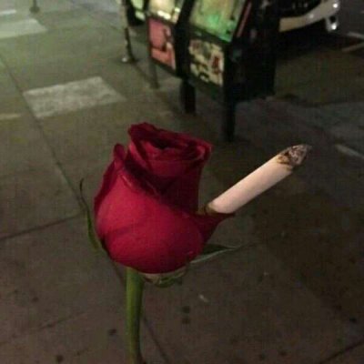 ��ɫ������õ��ͼƬ