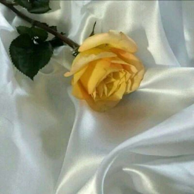 ��ɫ������õ��ͼƬ