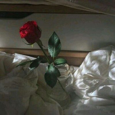 ��ɫ������õ��ͼƬ