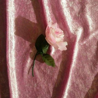 ��ɫ������õ��ͼƬ