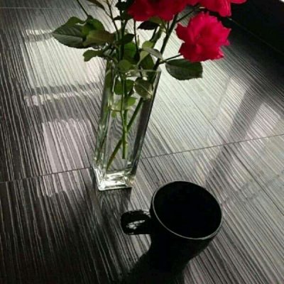 ��ɫ������õ��ͼƬ