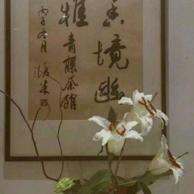 ��ɫ������õ��ͼƬ