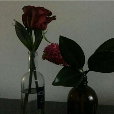 ��ɫ������õ��ͼƬ