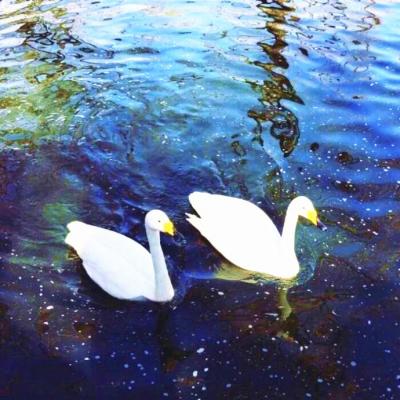 QQͷ��С���·羰����ͼ