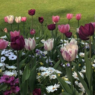 QQͷ��С���·羰����ͼ