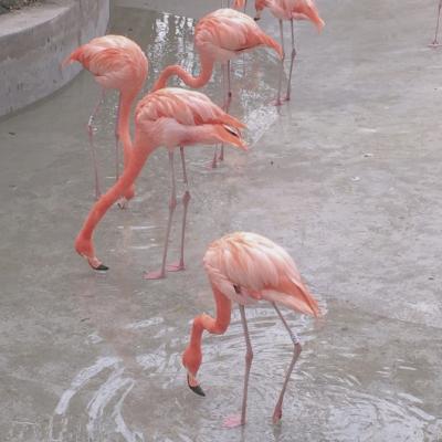 QQͷ��С���·羰����ͼ