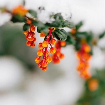 QQͷ��С���·羰����ͼ