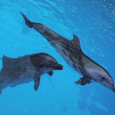 QQͷ��С���·羰����ͼ