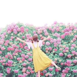 ��¶����ͷ��Ů�����屳ӰС����