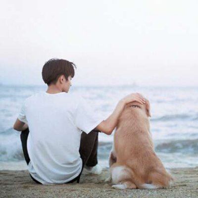 ����˧����ͷ�����ߺ󣬰������