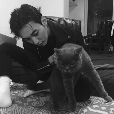 ���Զ�������������΢��ͷ��