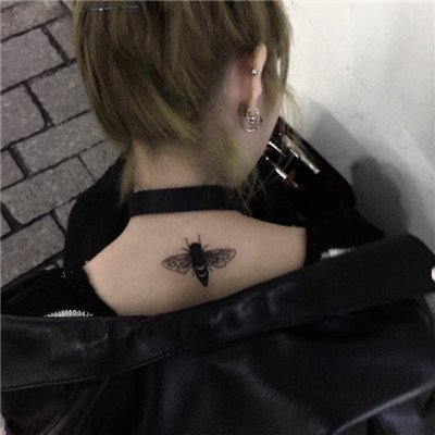 ��Į���İ���Ů��--�������˶�һ��ͬ��