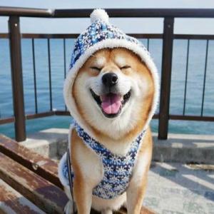 ΢�ų���ͷ����ȸ�Ц-�ɰ���