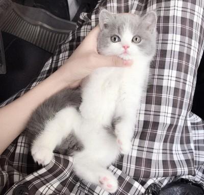 ΢�ų���ͷ����ȸ�Ц-�ɰ���