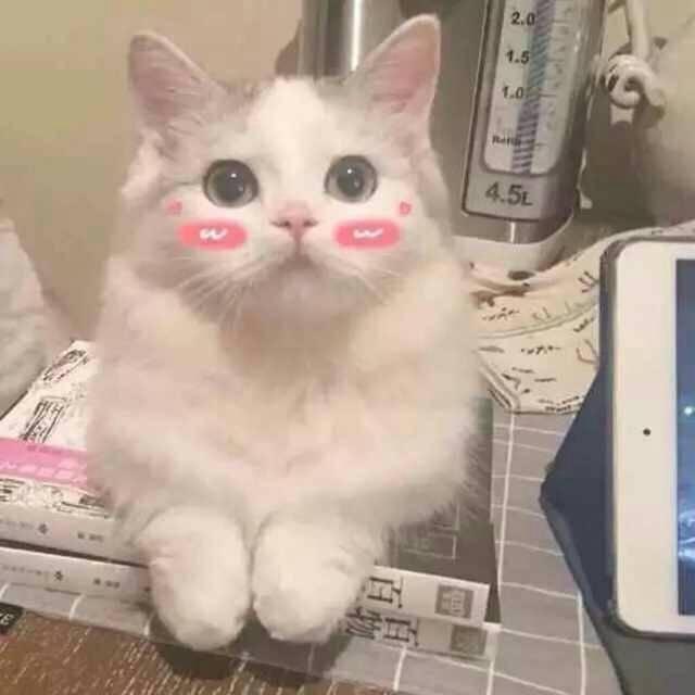 ΢�ų���ͷ����ȸ�Ц-�ɰ���