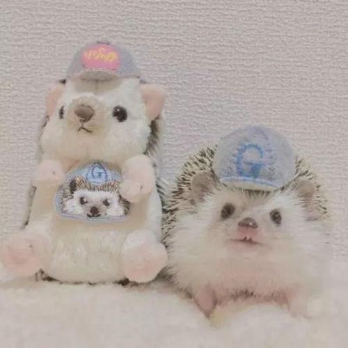 ΢�ų���ͷ����ȸ�Ц-�ɰ���