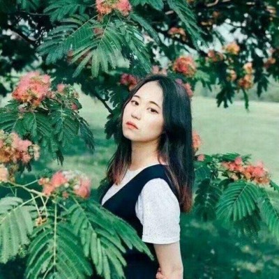 2019���µ����ܹ���ͷ��