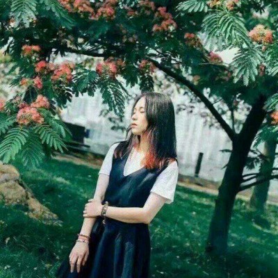 2019���µ����ܹ���ͷ��