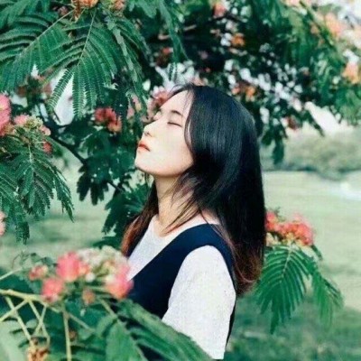 2019���µ����ܹ���ͷ��