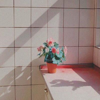 ����ϵͼƬ��Ҫ�͸����Ŷ