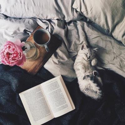 ����ϵͼƬ��Ҫ�͸����Ŷ