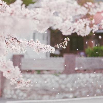 ����ϵͼƬ��Ҫ�͸����Ŷ