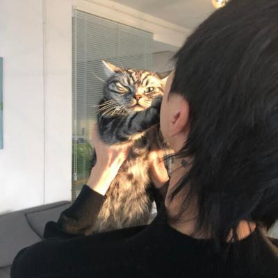 ������������΢��ͷ������з���-�ɰ���