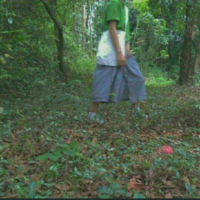 Ů��ʱ�й���ͷ��--һ�𳤴�һ�����