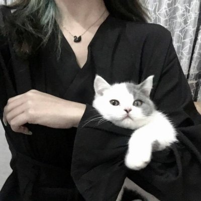 Ů��������ק�ĸ���ͷ��--�������