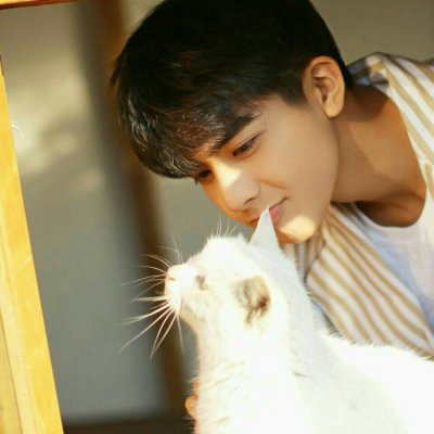 ����˧������ͷ��С���� �ҿ���������