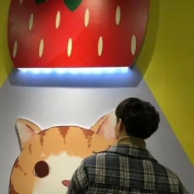 ˧��������������Ӱͷ����з���-�ɰ���