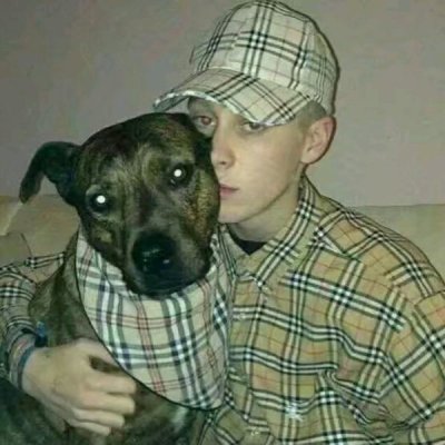 ����ϳɵ���������ͼƬ