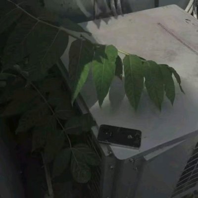 ����ϳɵ���������ͼƬ