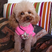 ����ͼƬ--���ϣ����ҵ�С����