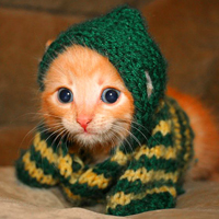 ����ͼƬ--���ϣ����ҵ�С����