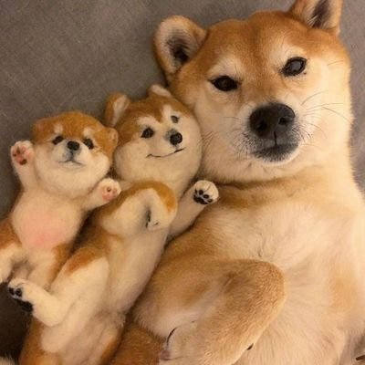 ����ͼƬ--���ϣ����ҵ�С����