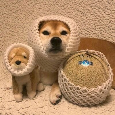 ����ͼƬ--���ϣ����ҵ�С����