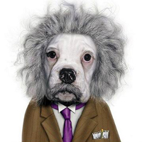 ����ͼƬ--���ϣ����ҵ�С����